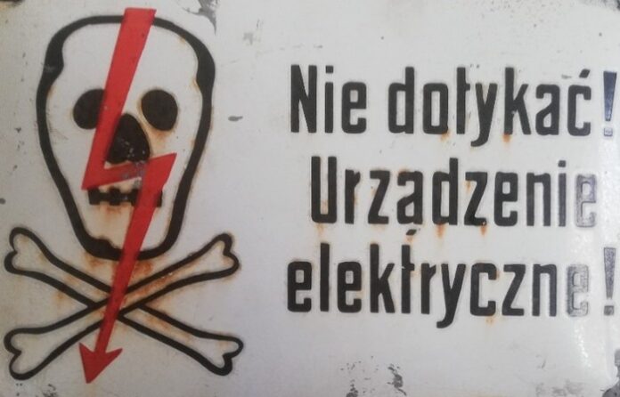 czaszka